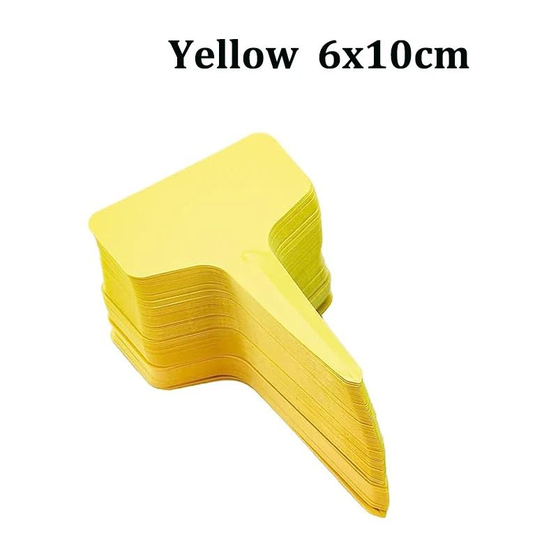 48275296256307|48275296289075|48275296354611
