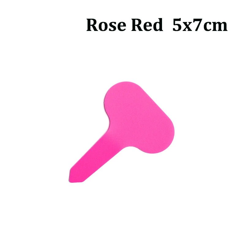 48275295469875|48275297239347|48275297272115