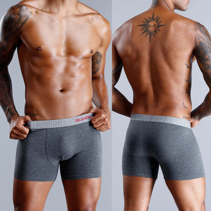 Men's panties Underwear Boxer Shorts For Man Cotton underpants male Slip boxershorts homme Sexy luxury underwear hot [GRM] [UND]