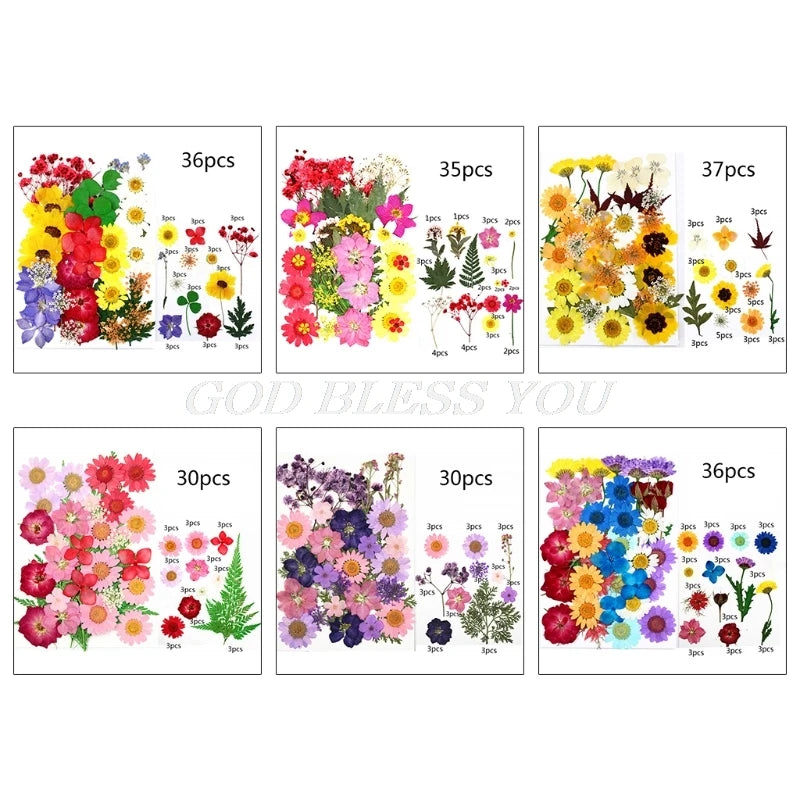 1 Pack Dried Flowers UV Resin Decorative Natural Flower Stickers 3D Dry Beauty Decal Epoxy Mold DIY Filling Accessories [FLW]