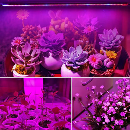 Complete Kit Grow Light LED Full Spectrum Bar T5 Tube Lamp plantas Cultivation lights for plants jardin greenhouse hydroponics [GAR]