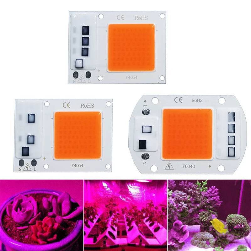 LED Grow COB Light Chip Full Spectrum AC 220V 10W 20W 30W 50W No need driver For Growth Flower Seedling Grow Plant Lighting [GAR]