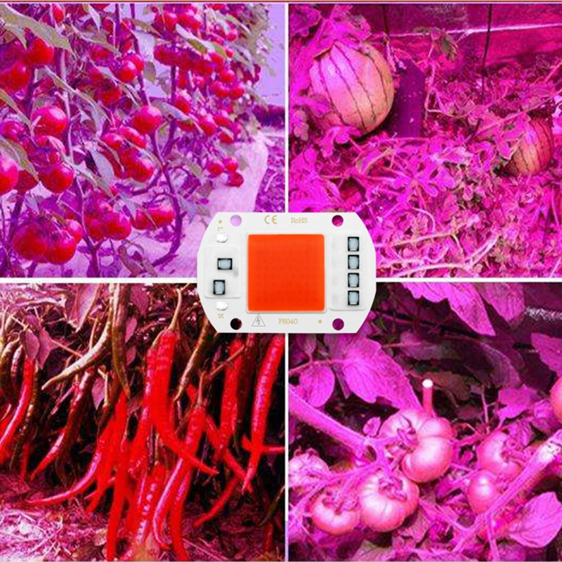 LED Grow Light Full Spectrum COB LED Chip AC 110V 220V No need driver Phyto Lamp For Indoor Plant Light Seedling Grow Lamp [GAR]