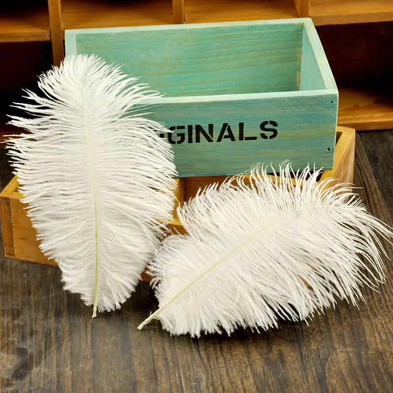 White Pink Grey High Quality Ostrich Feathers Photography Accessories Photos Background DIY Decorations for Jewelry Mini Items [PHO]