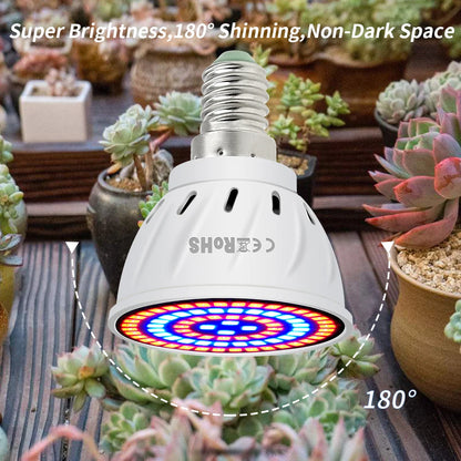 Phyto Led B22 Hydroponic Growth Light E27 Led Grow Bulb MR16 Full Spectrum 220V UV Lamp Plant E14 Flower Seedling Fitolamp GU10 [GAR]