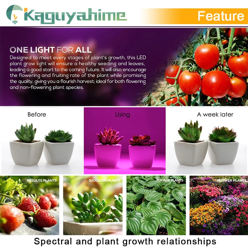 Kaguyahime LED Grow Light E27 Lampada LED Grow Lamp Full Spectrum 4W 7W 12W 15W 50W Indoor Plant Lamp UV Flowering Hydroponics [GAR]