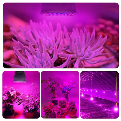 Full Spectrum E27 220V LED Plant Grow Light Bulb Fitolampy Phyto Lamp For Indoor Garden Plants Flower Hydroponics Grow Tent Box [GAR]