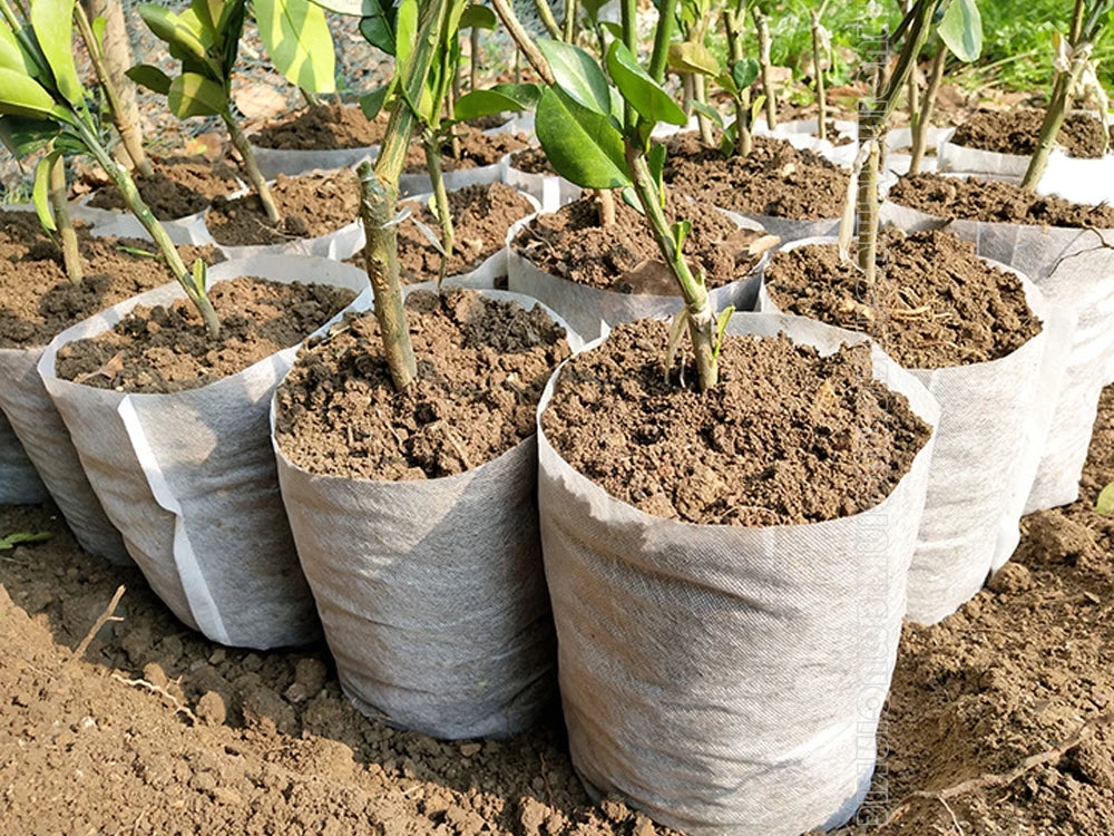 Different Sizes Biodegradable Non-woven Nursery Bags Plant Grow Bags Fabric Seedling Pots Eco-Friendly Aeration Planting Bags [GAR]