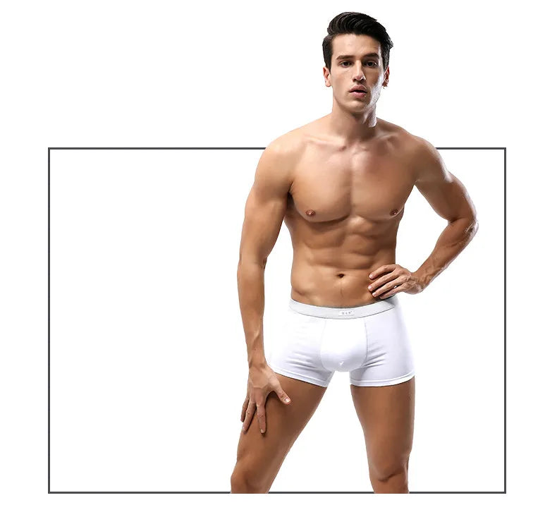 Boxer Men Underwear White Cotton Boxershorts U Pouch Panties Men Sexy Underpants Male Youth Underwear 4 Pcs Plus Size 4XL 5XL [GRM] [UND]