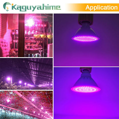 Kaguyahime LED Grow Light E27 Lampada LED Grow Lamp Full Spectrum 4W 7W 12W 15W 50W Indoor Plant Lamp UV Flowering Hydroponics [GAR]