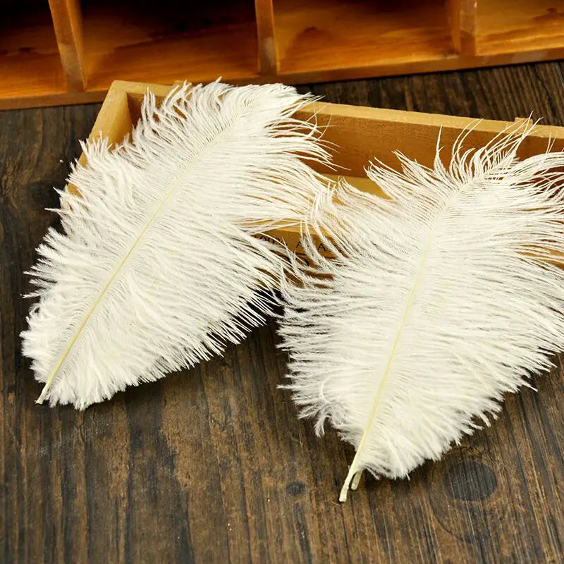 White Pink Grey High Quality Ostrich Feathers Photography Accessories Photos Background DIY Decorations for Jewelry Mini Items [PHO]