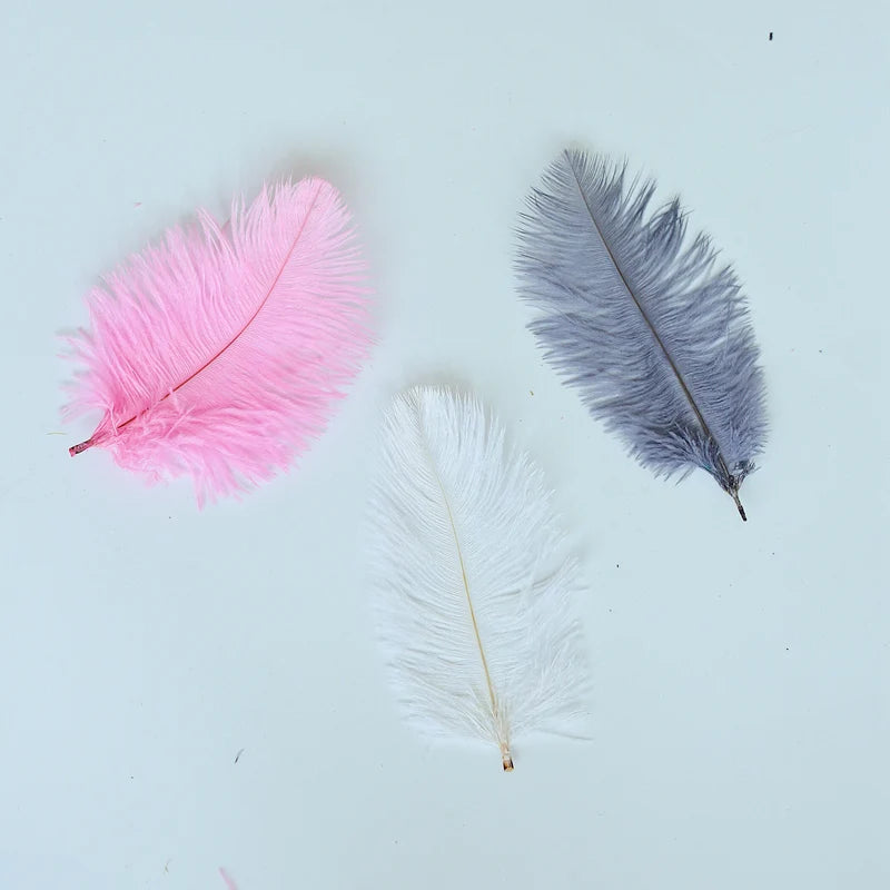 White Pink Grey High Quality Ostrich Feathers Photography Accessories Photos Background DIY Decorations for Jewelry Mini Items [PHO]