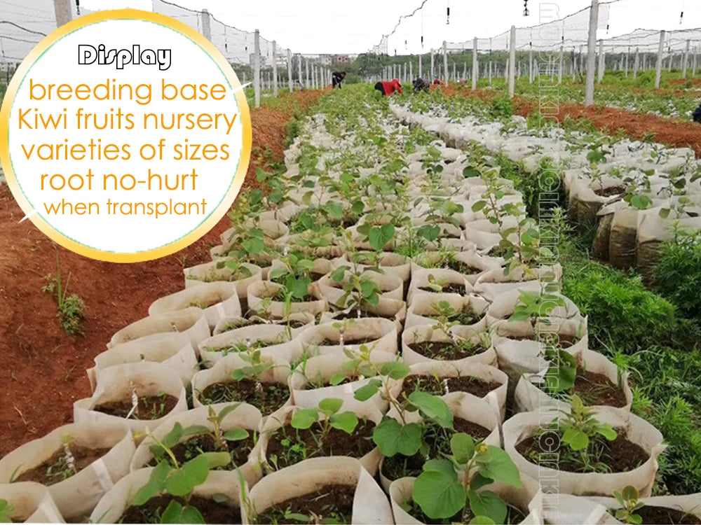 Different Sizes Biodegradable Non-woven Nursery Bags Plant Grow Bags Fabric Seedling Pots Eco-Friendly Aeration Planting Bags [GAR]