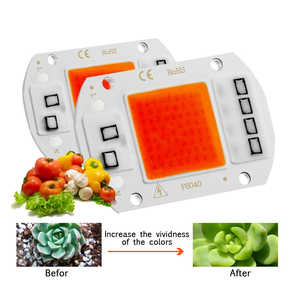 LED Grow Light Full Spectrum COB LED Chip AC 110V 220V No need driver Phyto Lamp For Indoor Plant Light Seedling Grow Lamp [GAR]