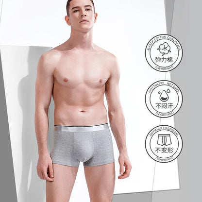 Boxer Male Panties Men's Underwear Boxers Breathable Sexy Man Boxer Solid Underpants Comfortable Plus Size BoxerShorts Lot L-5XL [UND]