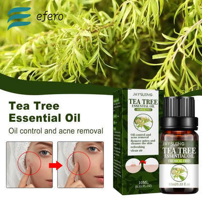 10ML Tea Tree Essential Oil Acne Marks Oil Control Facial Serum Moisturizing Hydration Firming Repair Essential Oil Skin Care [SKC]