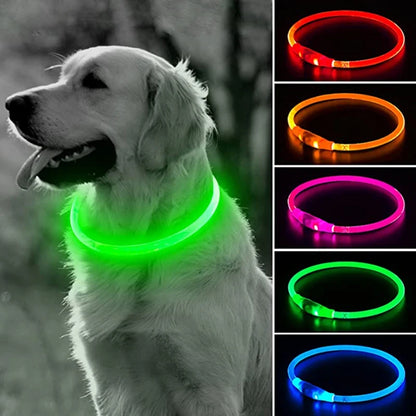 Led Dog Collar Luminous Usb Cat Dog Collar 3 Modes Led Light Glowing Loss Prevention LED Collar For Dogs Pet Dog Accessories [PET]