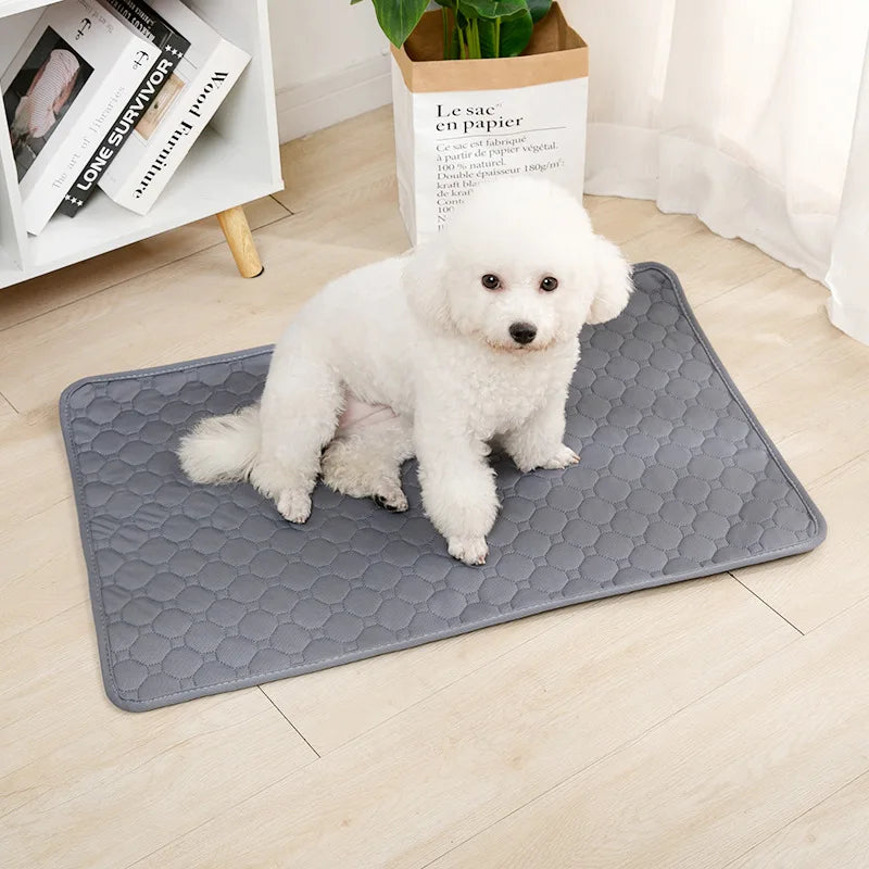 Reusable Dog Pee Pad Blanket Absorbent Diaper Washable Puppy Training Pad Pet Bed Urine Mat for Pet Car Seat Cover Pet Supplies [PET]