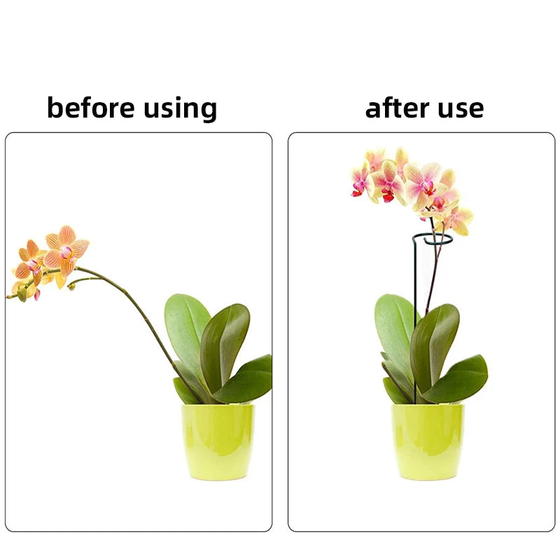 High-quality Gardening Plant Supports Flower Stand Reusable Protection Fixing Tool Garden Supplies For Vegetable Holder Bracket [GAR]