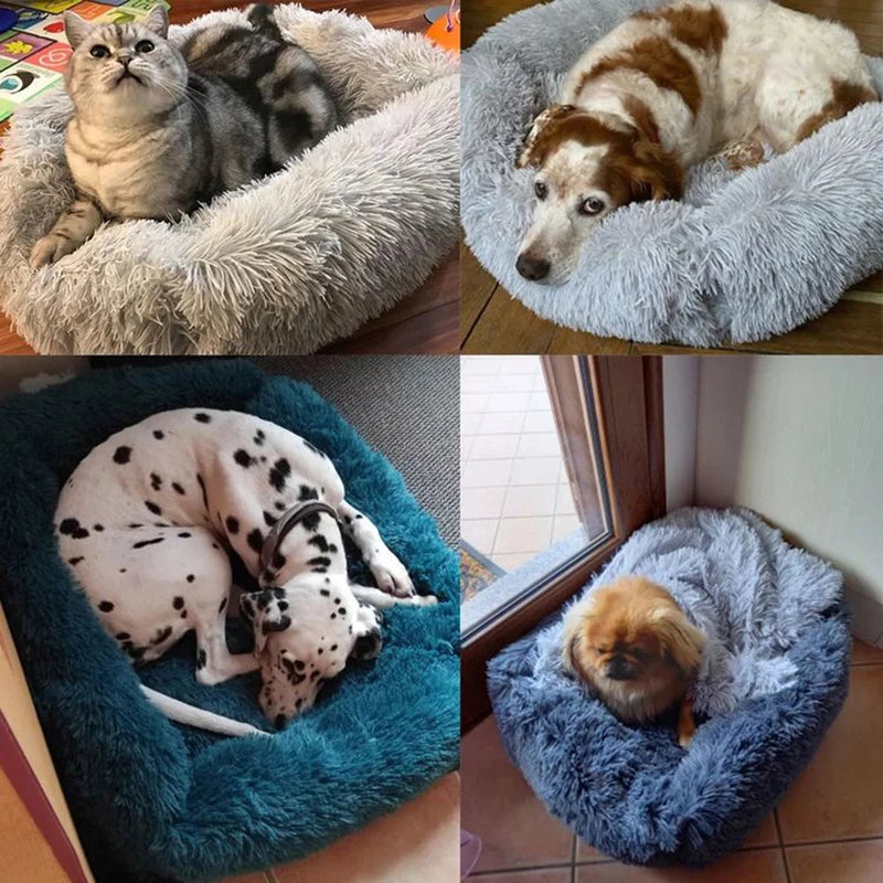 Rectangle Plush Dog Bed Winter Warm Mat Small Medium Big Pet Cat Dog Bed Kennel Puppy Sofacama Cat Cushion Pets Sofa Accessories [PET]