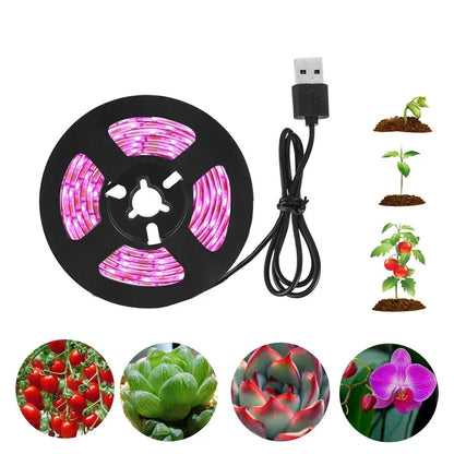 LED Grow Light Full Spectrum Phytolamp 5V USB Plant Light Strip 1m 2m 3m Phyto Lamp for Plants Flower Greenhouse Tent Hydroponic [GAR]