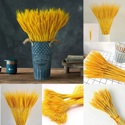 50pcs Natural Dried Wheat Grass Real Autumn Plants Artificial Wheat Dried Flowers for Home Kitchen Church Wedding Decoration [FLW]