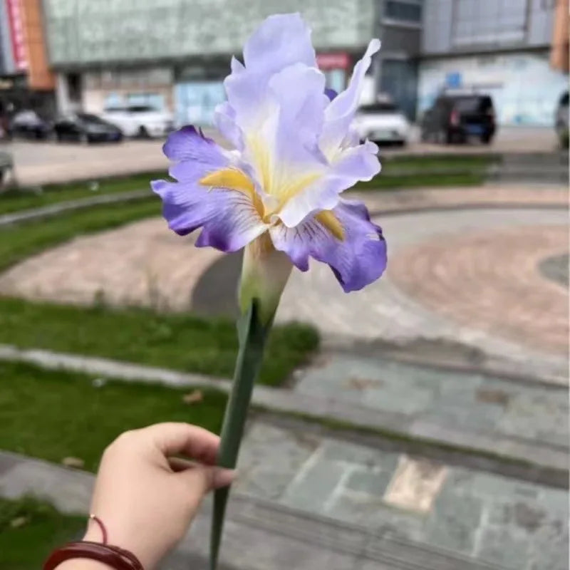 Artificial Iris Flower Branch Spring Wedding Decor Home Table Decoration Flores Silk Fake Flower Party Supplies [FLW]