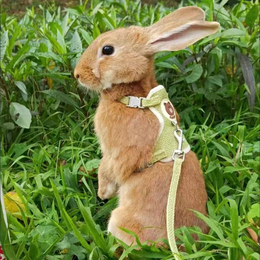 Newest Cute Rabbit Harness and Leash Set Bunny Pet Accessories Vest Harnesses Rabbit Leashes for Outdoor Walking Pets Supplies [PET]