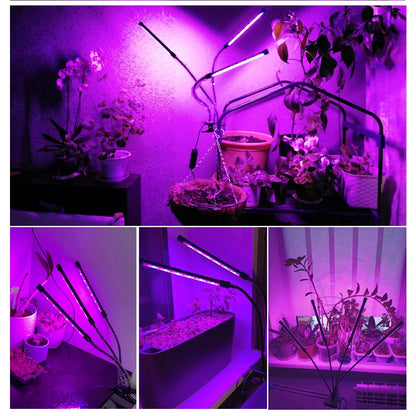 DC5V/12V LED Grow Light USB Phyto Lamp Full Spectrum Fitolampy With Control For Plants Seedlings Flower Indoor Fitolamp Grow Box [GAR]