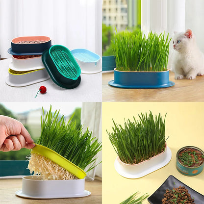 Hydroponic Seedling Tray Creative Cat Snack Catnip Growing Pot Reusable Garden Catnip Growing Bowl Pet Supplies [GAR]