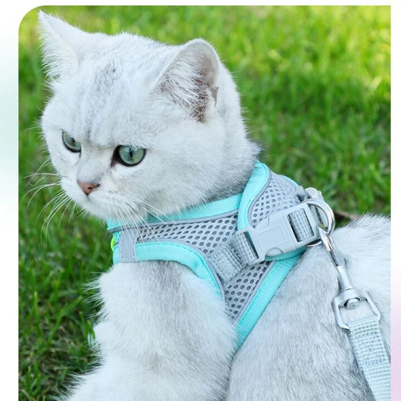 Escape Proof Cat Harness and Leash Set Adjustable Mesh Dog Harness Vest Puppy Pet Walking Lead Leash Small Dogs Cats Kitten XXS [PET]