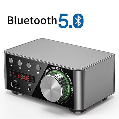 Mini Audio HiFi  Bluetooth 5.0 Power Class D Amplifier Tpa3116 Digital Amp  50W*2 Home Audio Car Marine USB/AUX IN [MRN]