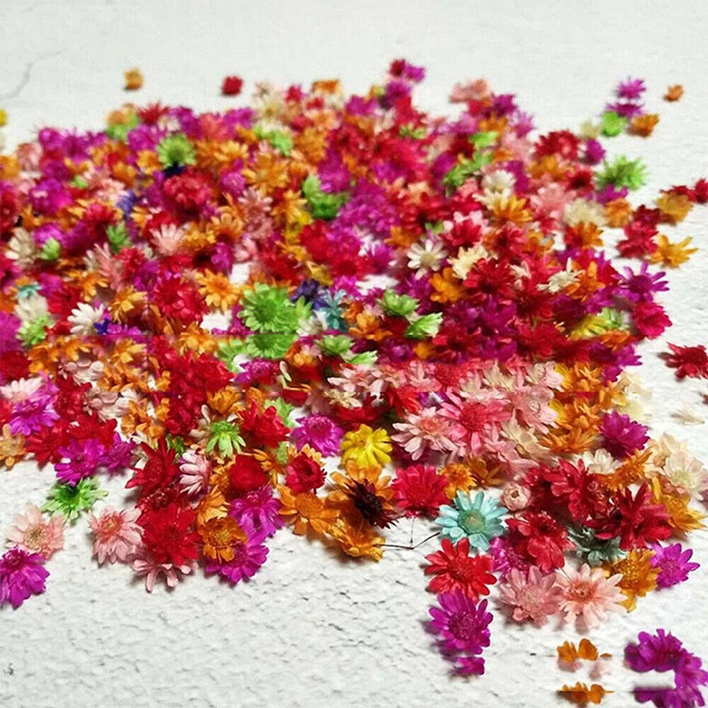 140/280pcs Flowers Little Star Flower Head DIY Craft Epoxy Resin Candle Making Jewellery Home Party Decor Press Flowers [FLW]