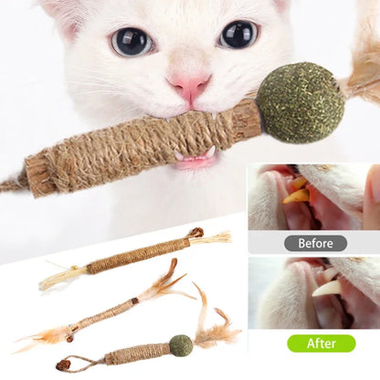 Cat Toys Silvervine Chew Stick Pet Snacks Sticks Natural Stuff with Catnip for Kitten Cats Cleaning Teeth Cat Accessories Katze [PET]