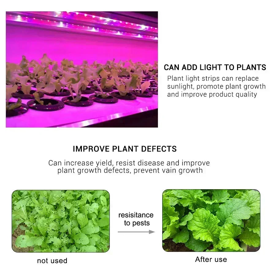 LED Grow Light Full Spectrum Phytolamp 5V USB Plant Light Strip 1m 2m 3m Phyto Lamp for Plants Flower Greenhouse Tent Hydroponic [GAR]