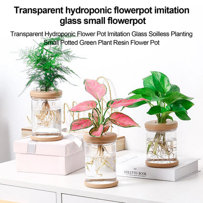 Mini Hydroponic Flower Pot Home Vase Decor Transparent Imitation Glass Soilless Plant Pots Green Plants Pot For Home Decoration [GAR]