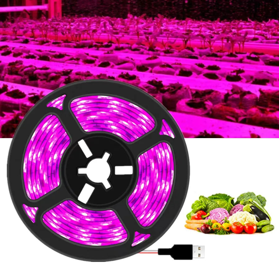 DC 5V USB LED Grow Light Full Spectrum 1-5m Plant Light Grow LED Strip Phyto Lamp for Vegetable Flower Seedling Grow Tent [GAR]