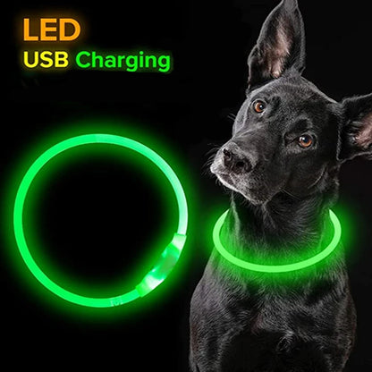 Led Dog Collar Luminous Usb Cat Dog Collar 3 Modes Led Light Glowing Loss Prevention LED Collar For Dogs Pet Dog Accessories [PET]