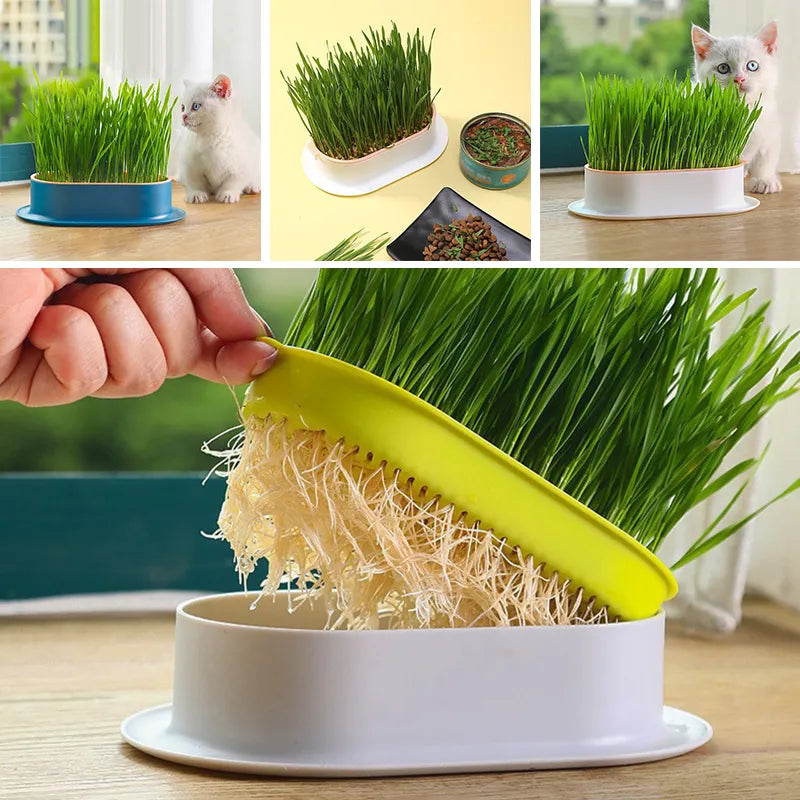 Hydroponic Seedling Tray Creative Cat Snack Catnip Growing Pot Reusable Garden Catnip Growing Bowl Pet Supplies [GAR]