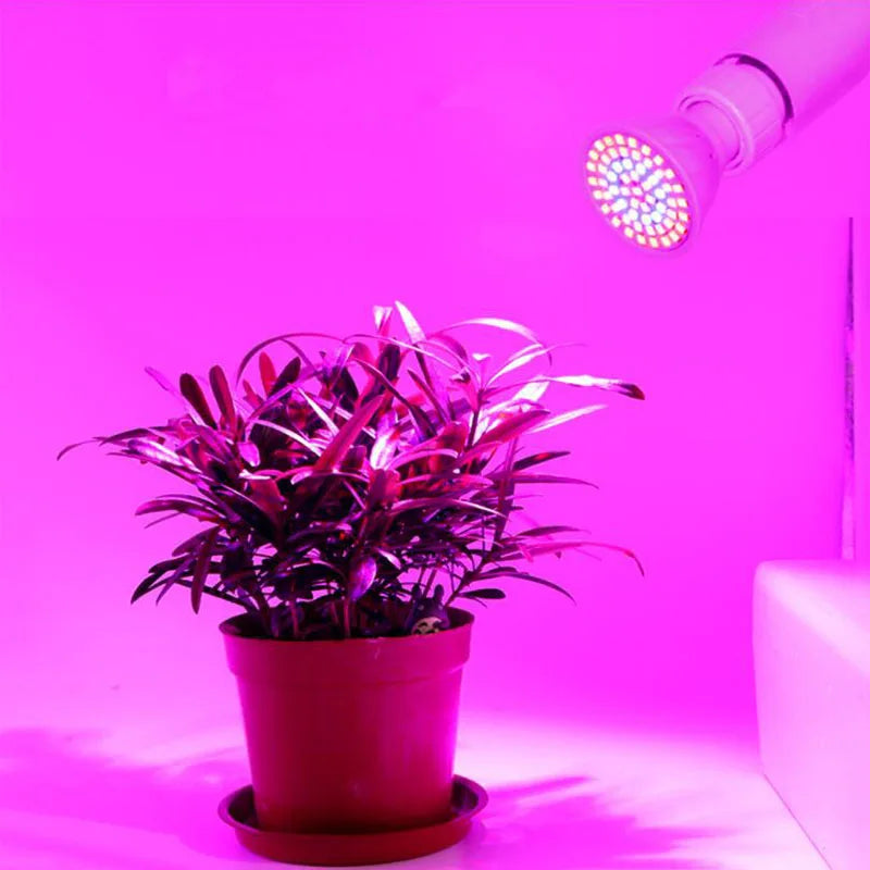 LED Plant Grow light full spectrum Flower growing sunlight phyto lamp bulb for indoor phyto lamp Hydro grow box tent lighting [GAR]