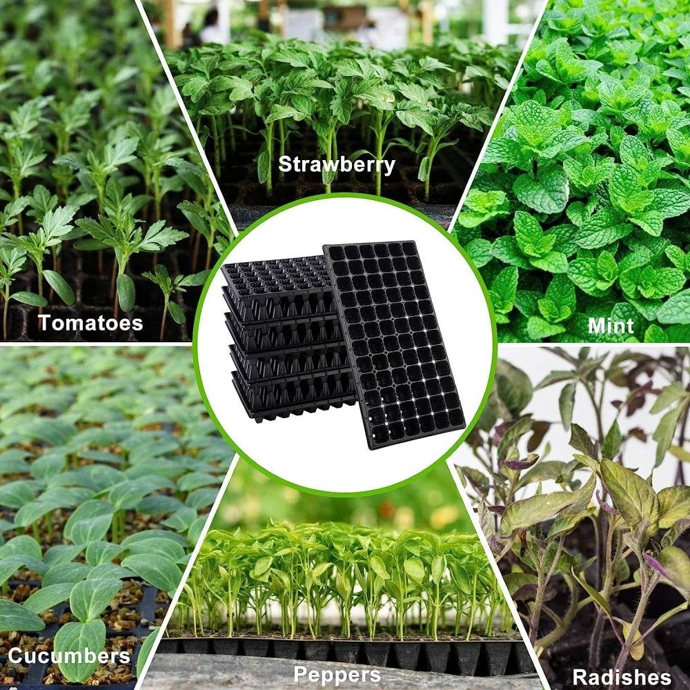 Plant Seedling Starter Tray for Garden Growing, Extra Strength, Seed Germination, Flower Pots, Nursery Box, 50/72 Cells [GAR]