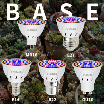 Phyto Led B22 Hydroponic Growth Light E27 Led Grow Bulb MR16 Full Spectrum 220V UV Lamp Plant E14 Flower Seedling Fitolamp GU10 [GAR]