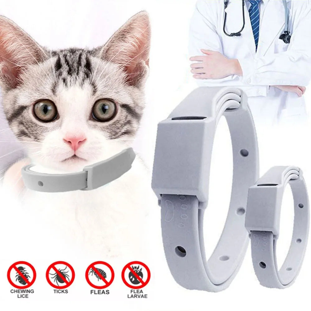 Anti Flea Tick Collar For Cat Small Dog Antiparasitic 8Month Protection Adjustable Puppy Kitten Collar Breakaway Pet Accessories [PET]