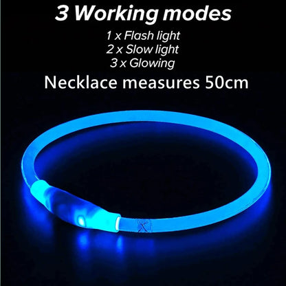 Led Dog Collar Luminous Usb Cat Dog Collar 3 Modes Led Light Glowing Loss Prevention LED Collar For Dogs Pet Dog Accessories [PET]