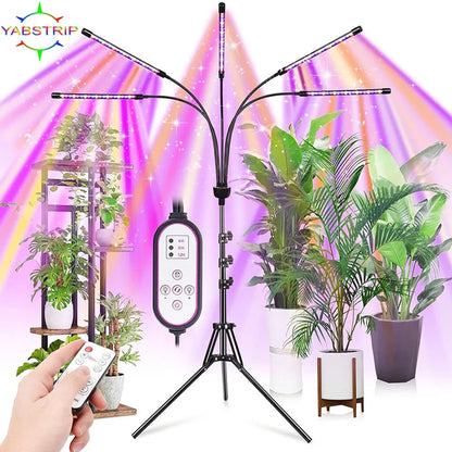 Full Spectrum LED Grow Light DC 5V USB Phyto Lamps Desktop Plant Growth Lamp For Indoor Flower VEG Seedling Succulent Fitolampy [GAR]