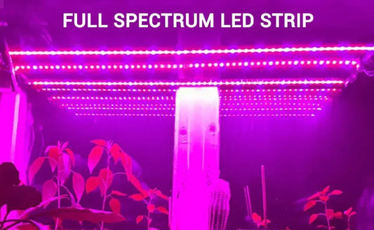 LED Grow Light Full Spectrum Phytolamp 5V USB Plant Light Strip 1m 2m 3m Phyto Lamp for Plants Flower Greenhouse Tent Hydroponic [GAR]