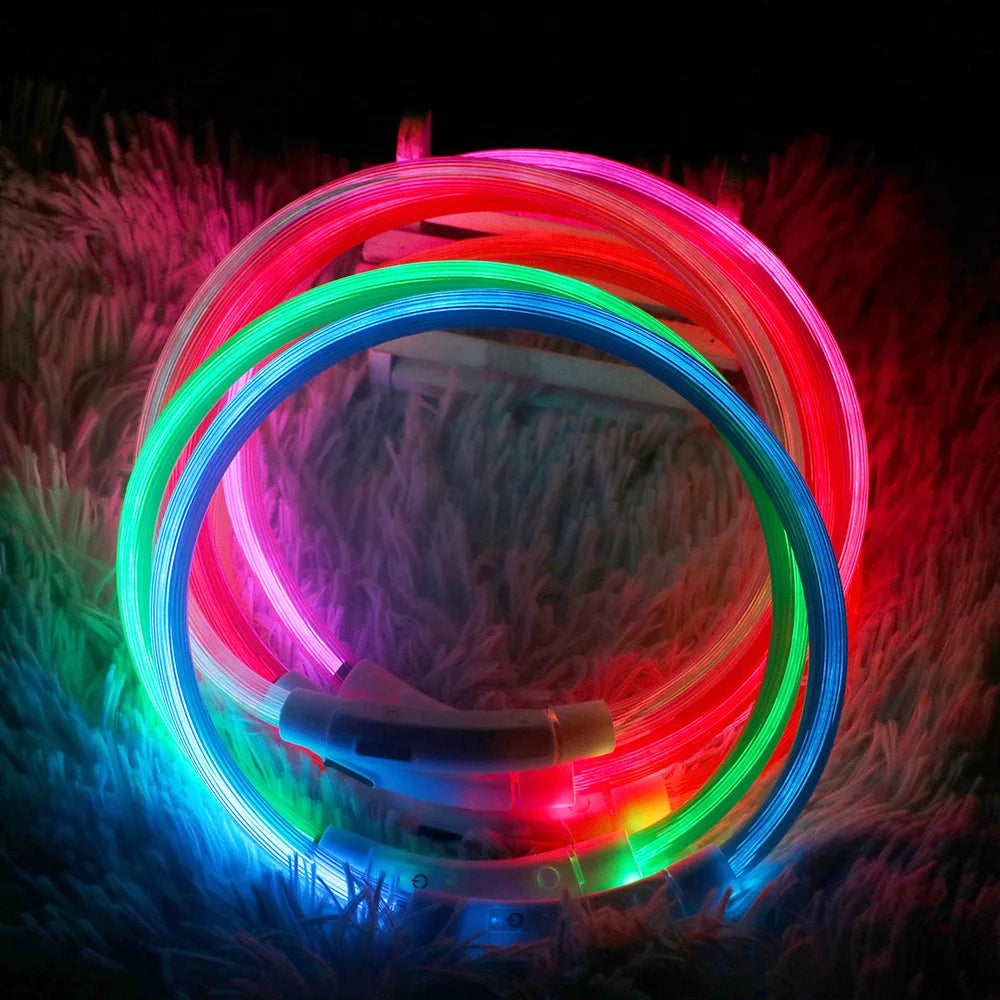 Led Dog Collar Luminous Usb Cat Dog Collar 3 Modes Led Light Glowing Loss Prevention LED Collar For Dogs Pet Dog Accessories [PET]