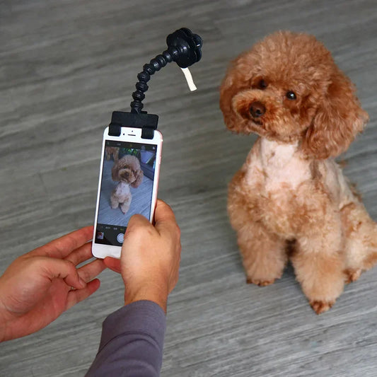 Pet Selfie Stick for Dogs Cat photography tools Pet Interaction Toys Concentrate Training Supplies Dog Accessories Drop Shipping [PHO]