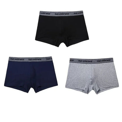 Boxer Mens Underwear Men Cotton Underpants Male Pure Men Panties Shorts Underwear Boxer Shorts Solid Cuecas 365 Calzoncillos [GRM] [UND]